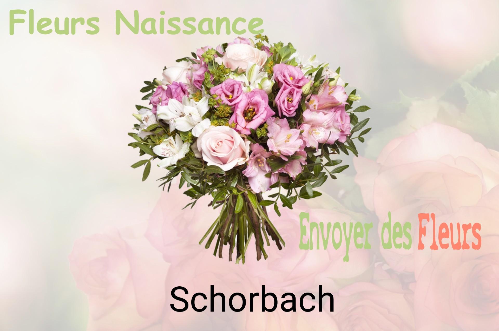 Bouquet de fleurs de naissance livré à Schorbach